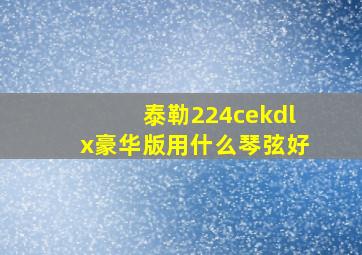 泰勒224cekdlx豪华版用什么琴弦好