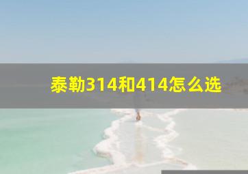 泰勒314和414怎么选