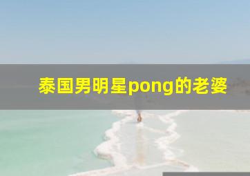 泰国男明星pong的老婆