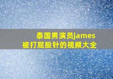 泰国男演员james被打屁股针的视频大全