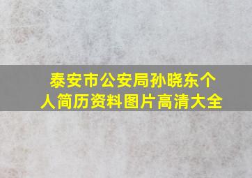 泰安市公安局孙晓东个人简历资料图片高清大全