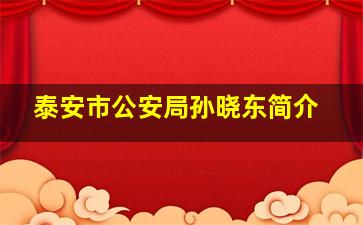 泰安市公安局孙晓东简介