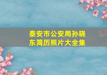 泰安市公安局孙晓东简历照片大全集