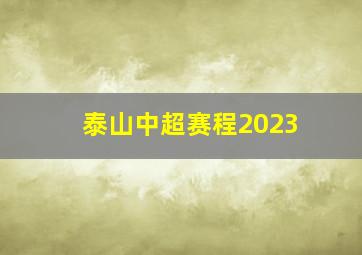 泰山中超赛程2023