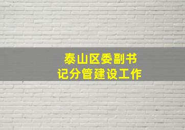 泰山区委副书记分管建设工作