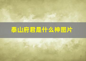 泰山府君是什么神图片