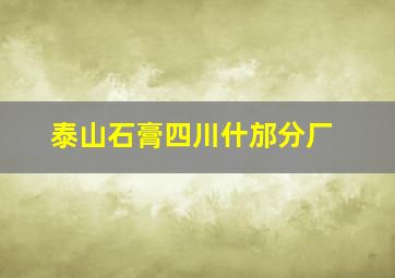 泰山石膏四川什邡分厂