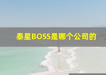 泰星BOSS是哪个公司的