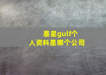 泰星gulf个人资料是哪个公司