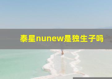 泰星nunew是独生子吗