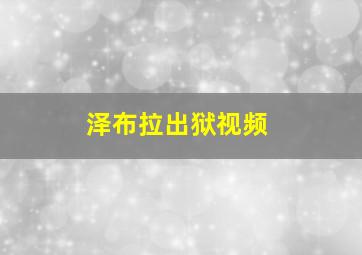 泽布拉出狱视频