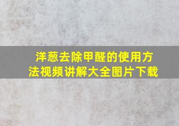 洋葱去除甲醛的使用方法视频讲解大全图片下载