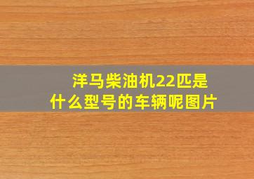 洋马柴油机22匹是什么型号的车辆呢图片