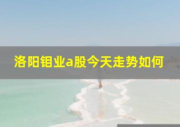 洛阳钼业a股今天走势如何