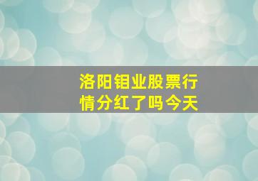 洛阳钼业股票行情分红了吗今天