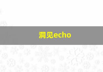 洞见echo