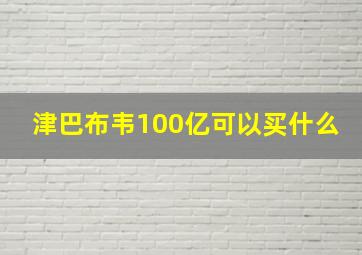 津巴布韦100亿可以买什么