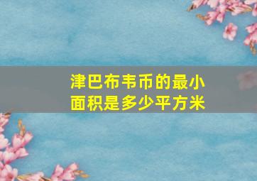 津巴布韦币的最小面积是多少平方米