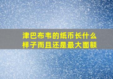 津巴布韦的纸币长什么样子而且还是最大面额