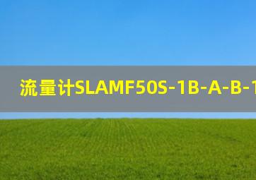 流量计SLAMF50S-1B-A-B-1-K-2-A-2