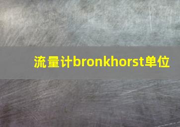 流量计bronkhorst单位