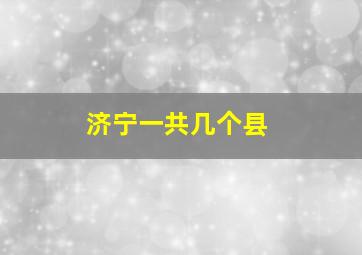 济宁一共几个县