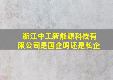 浙江中工新能源科技有限公司是国企吗还是私企