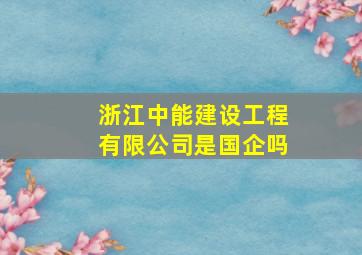 浙江中能建设工程有限公司是国企吗