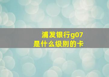 浦发银行g07是什么级别的卡