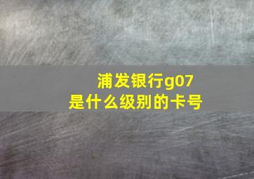 浦发银行g07是什么级别的卡号