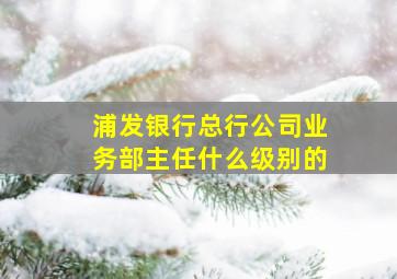 浦发银行总行公司业务部主任什么级别的