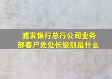 浦发银行总行公司业务部客户处处长级别是什么