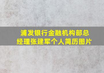 浦发银行金融机构部总经理张建军个人简历图片