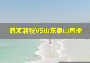 浦项制铁VS山东泰山直播