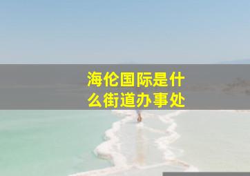 海伦国际是什么街道办事处