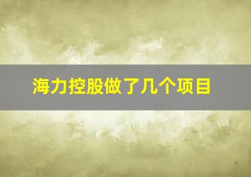 海力控股做了几个项目