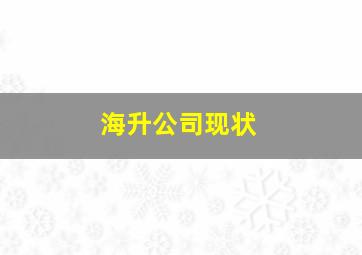 海升公司现状