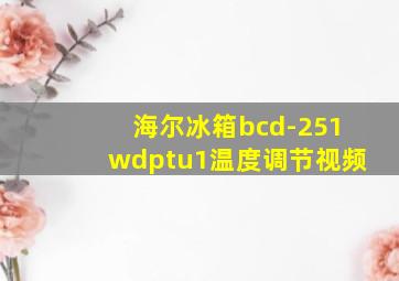 海尔冰箱bcd-251wdptu1温度调节视频