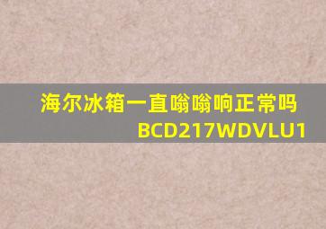 海尔冰箱一直嗡嗡响正常吗BCD217WDVLU1