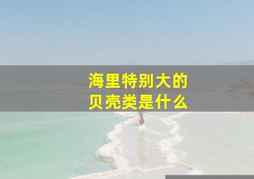 海里特别大的贝壳类是什么