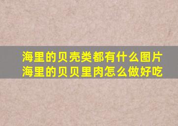 海里的贝壳类都有什么图片海里的贝贝里肉怎么做好吃