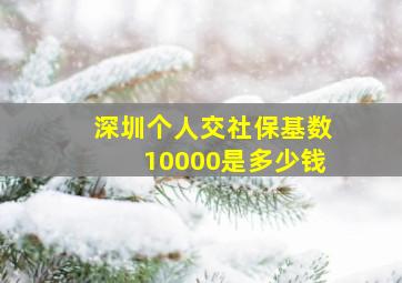 深圳个人交社保基数10000是多少钱