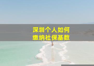 深圳个人如何缴纳社保基数