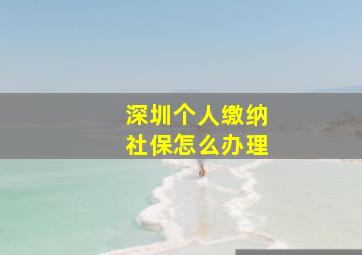 深圳个人缴纳社保怎么办理