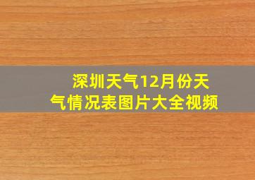 深圳天气12月份天气情况表图片大全视频