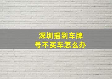 深圳摇到车牌号不买车怎么办