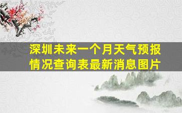 深圳未来一个月天气预报情况查询表最新消息图片