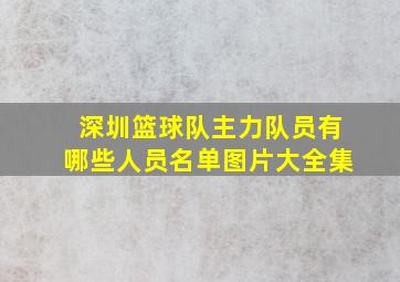 深圳篮球队主力队员有哪些人员名单图片大全集