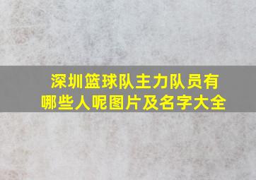 深圳篮球队主力队员有哪些人呢图片及名字大全