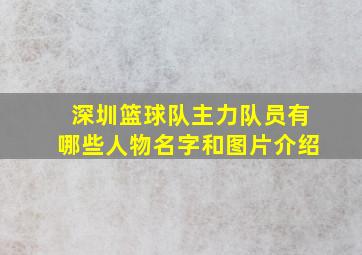 深圳篮球队主力队员有哪些人物名字和图片介绍